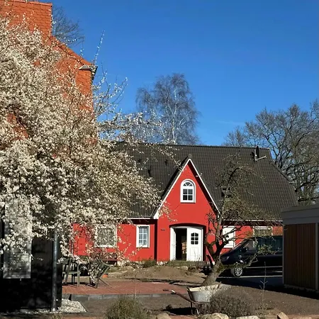 Kapitänshaus Scharmberg, Ferienwohnung Seeadler Born Exterior foto